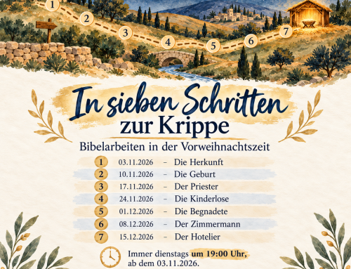 In sieben Schritten zur Krippe